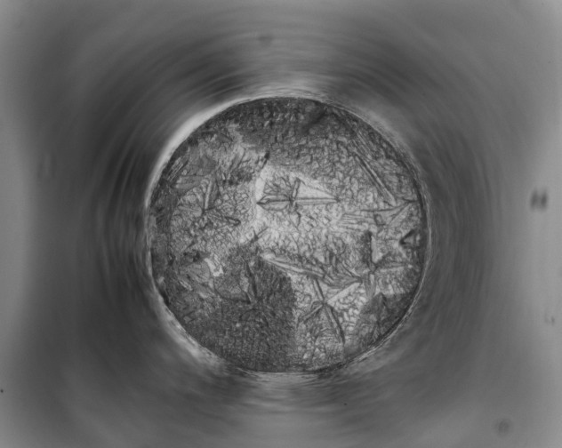 X0000100221200200806131307