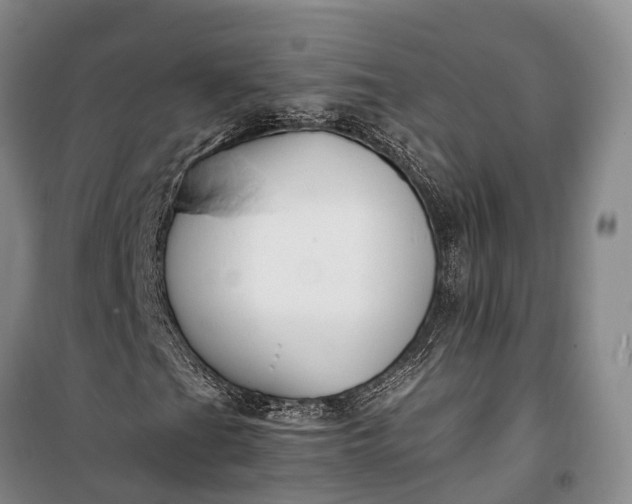 X0000100221201200806131307