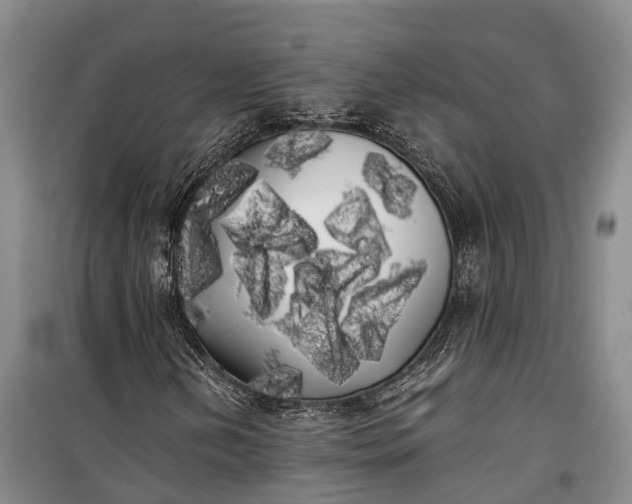 X0000100221202200806131307