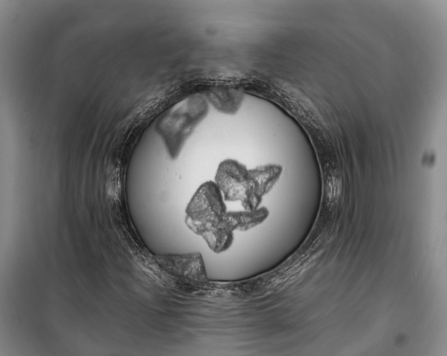 X0000100221204200806131307