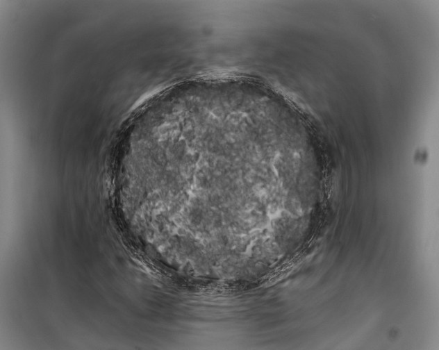 X0000100221206200806131307