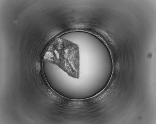 X0000100221209200806131307