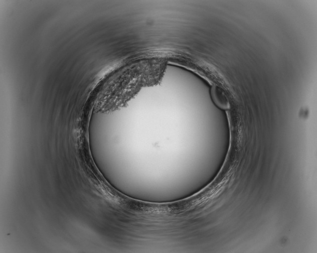 X0000100221210200806131307