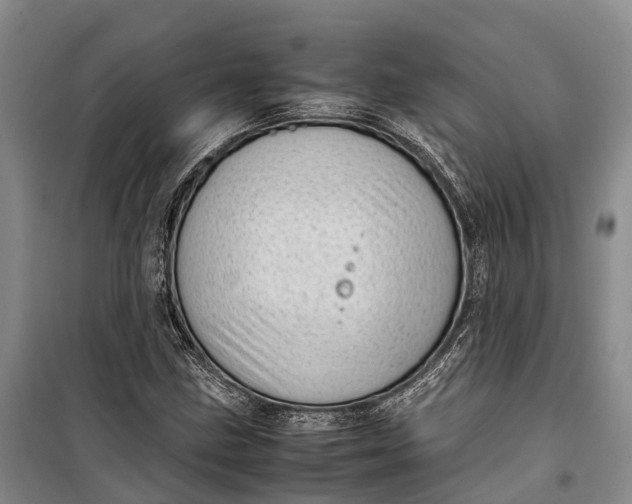 X0000100221211200806131307