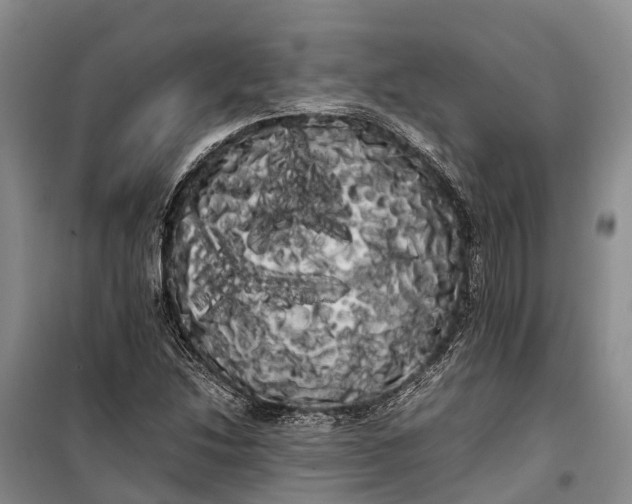 X0000100221214200806131307