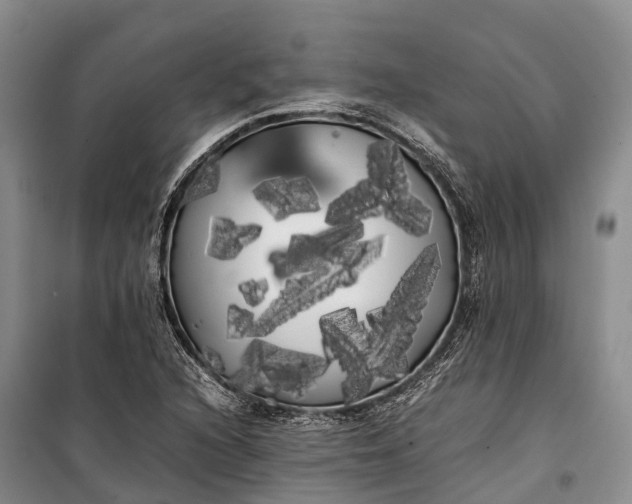 X0000100221216200806131307