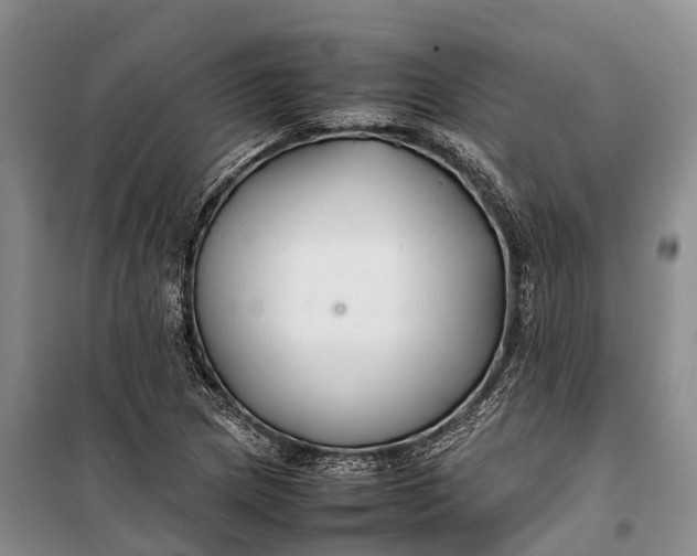 X0000100221217200806131307