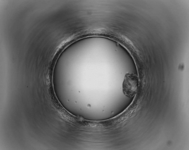 X0000100221218200806131307