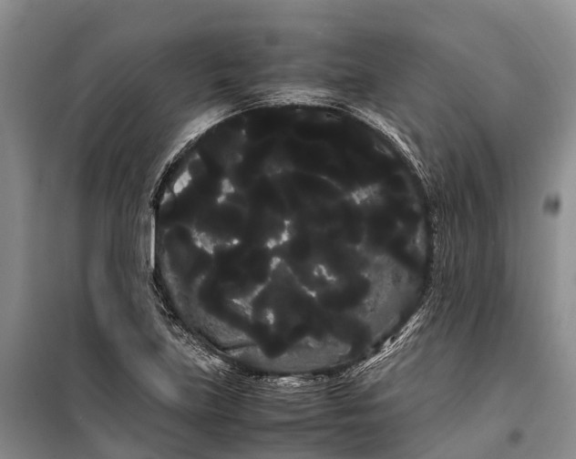 X0000100221219200806131307