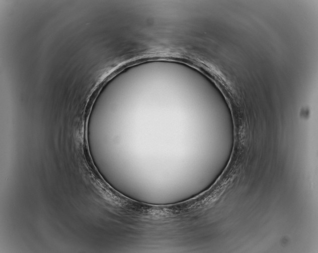 X0000100221220200806131307