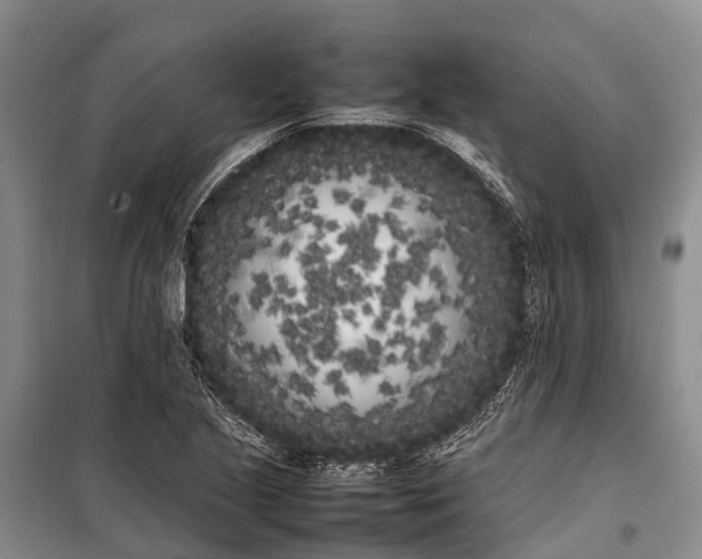 X0000100221221200806131307