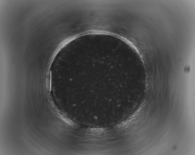 X0000100221223200806131307