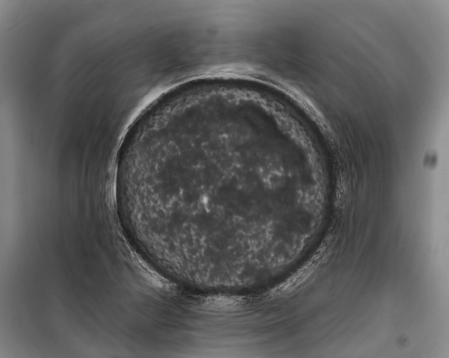 X0000100221224200806131307