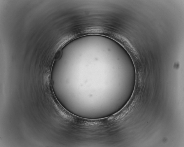 X0000100221225200806131307