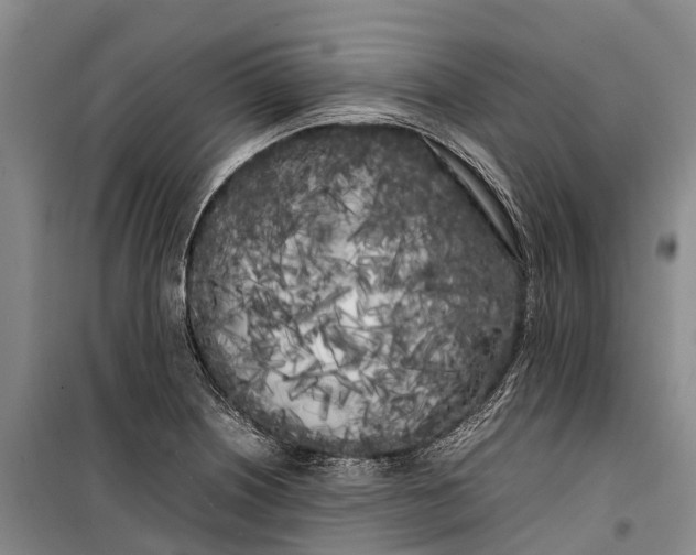 X0000100221226200806131307