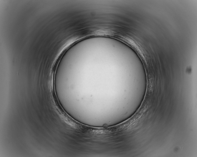 X0000100221227200806131307