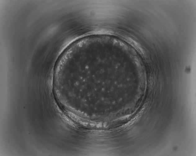 X0000100221228200806131307