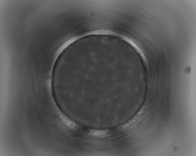 X0000100221229200806131307