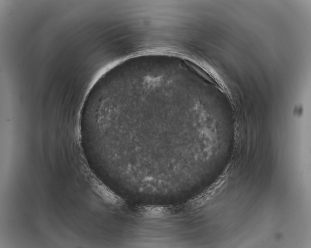 X0000100221230200806131307