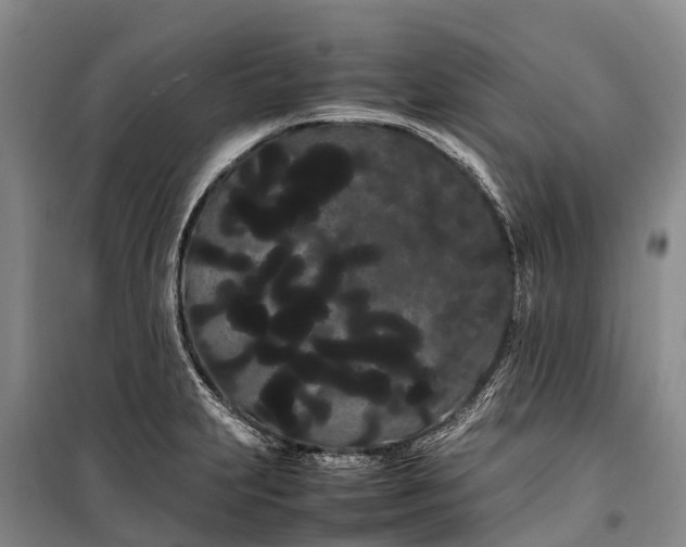 X0000100221231200806131307