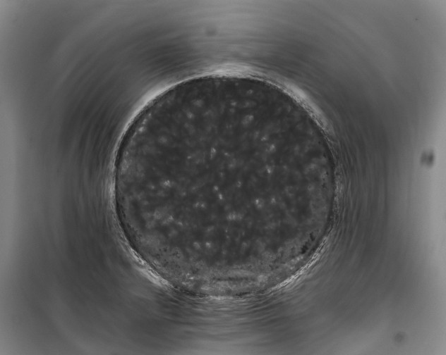 X0000100221232200806131307