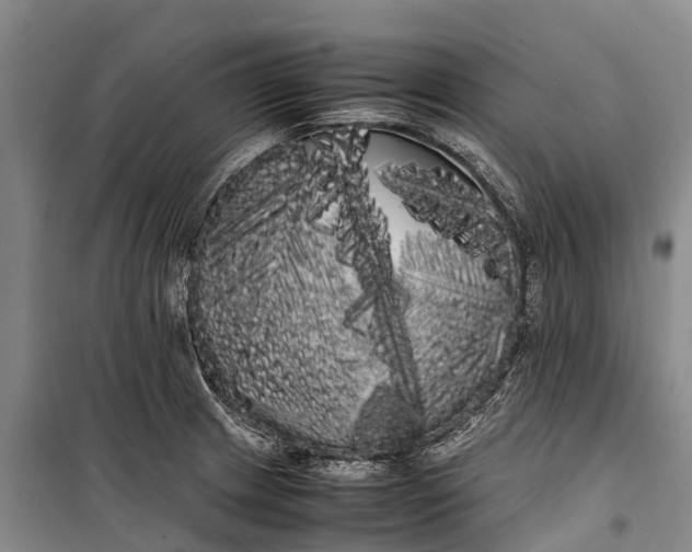 X0000100221233200806131307