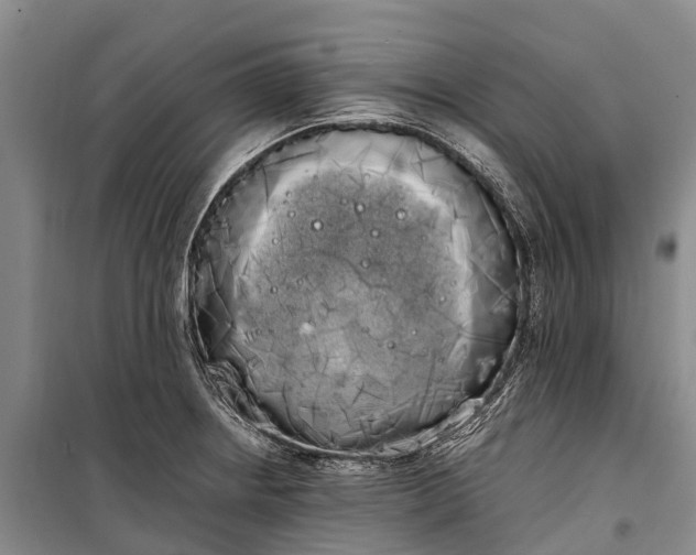 X0000100221234200806131307