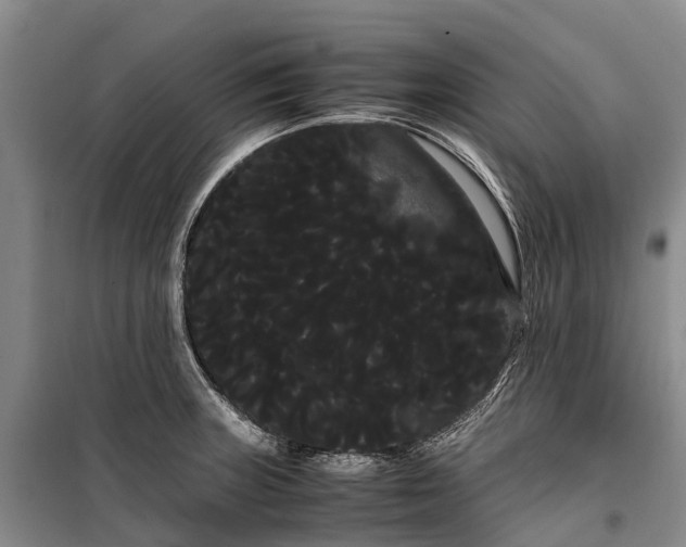 X0000100221235200806131307