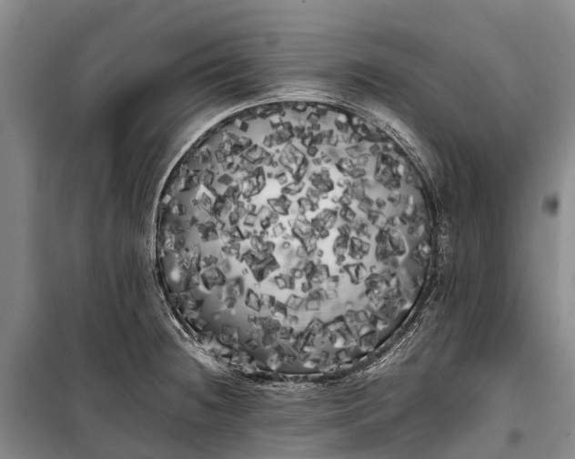 X0000100221236200806131307