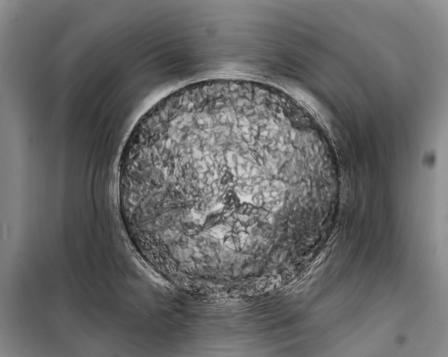 X0000100221238200806131307