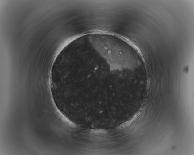 X0000100221239200806131307