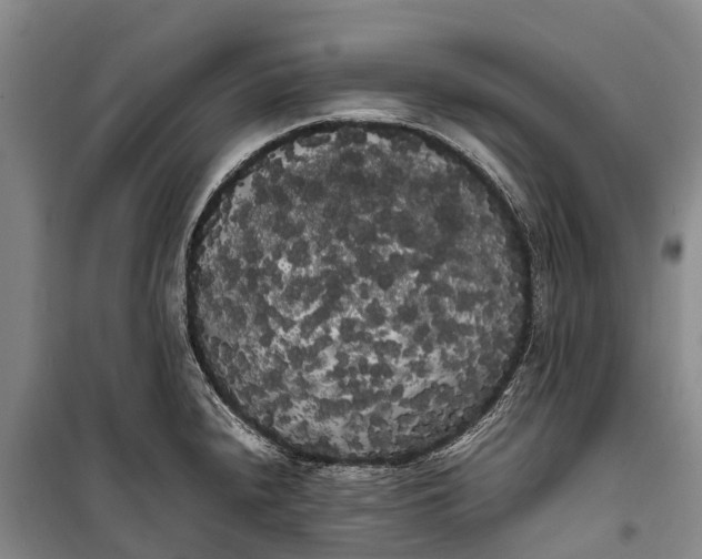 X0000100221240200806131307