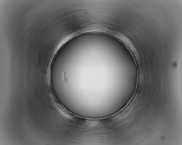 X0000100221242200806131307