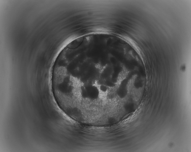 X0000100221243200806131307