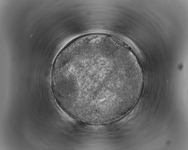 X0000100221244200806131307