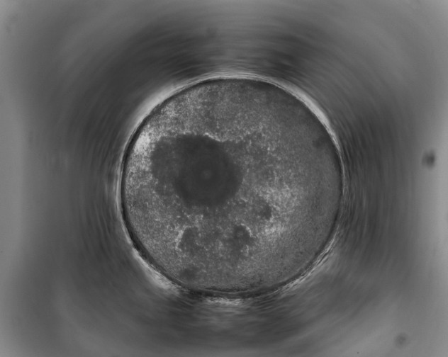 X0000100221245200806131307