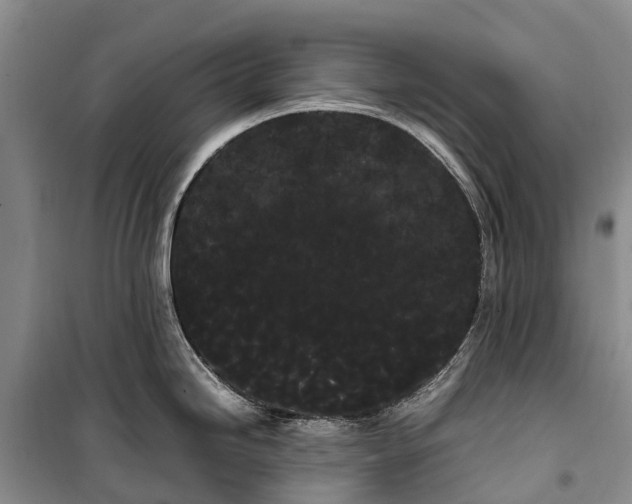 X0000100221246200806131307