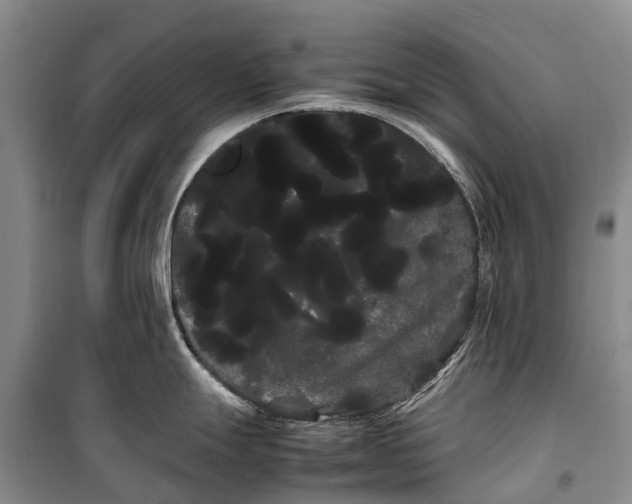 X0000100221247200806131307