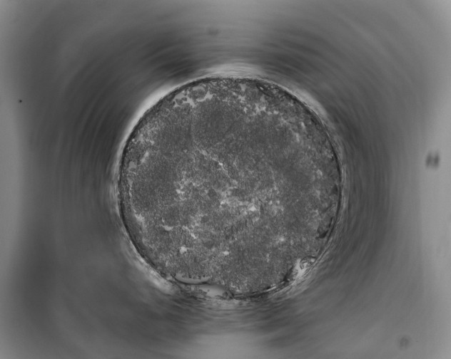 X0000100221248200806131307