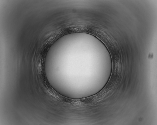 X0000100221250200806131307