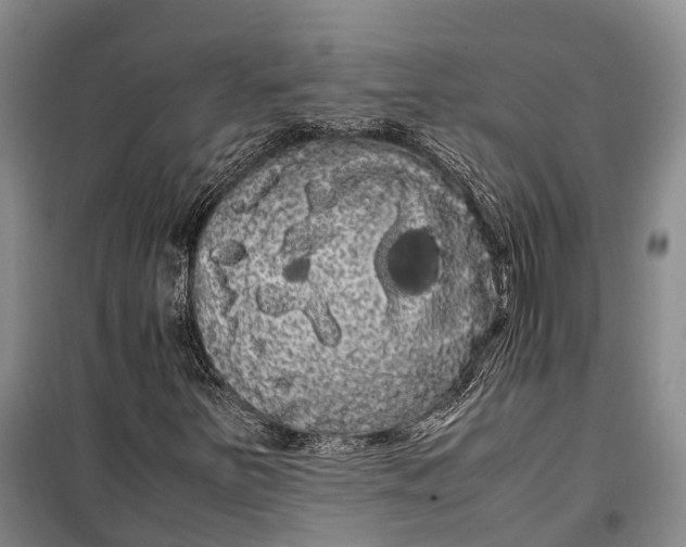 X0000100221251200806131307