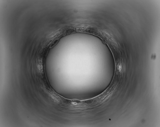 X0000100221252200806131306