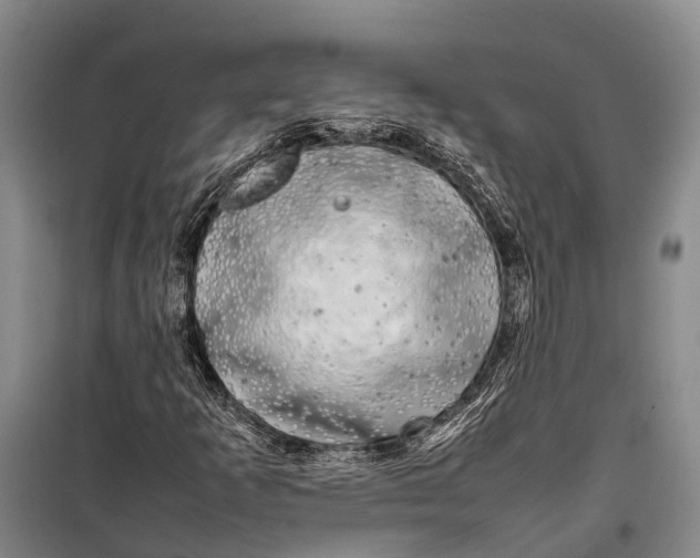 X0000100221253200806131306