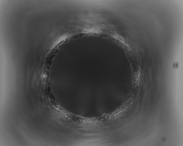 X0000100221254200806131306