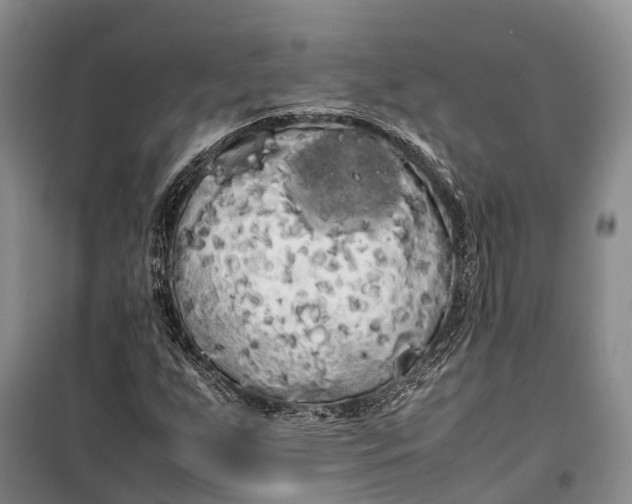 X0000100221255200806131306