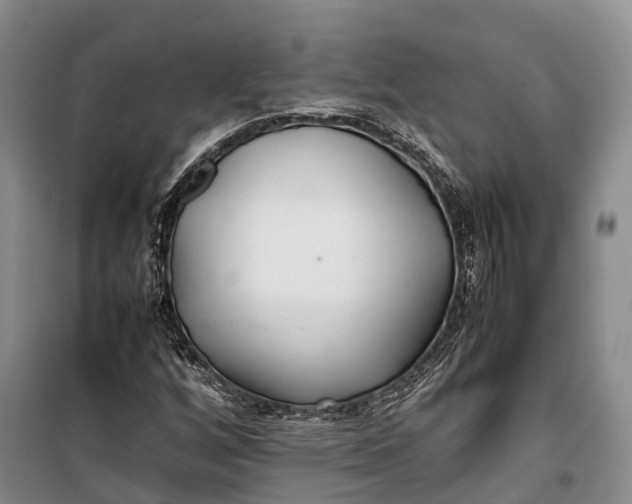 X0000100221256200806131306