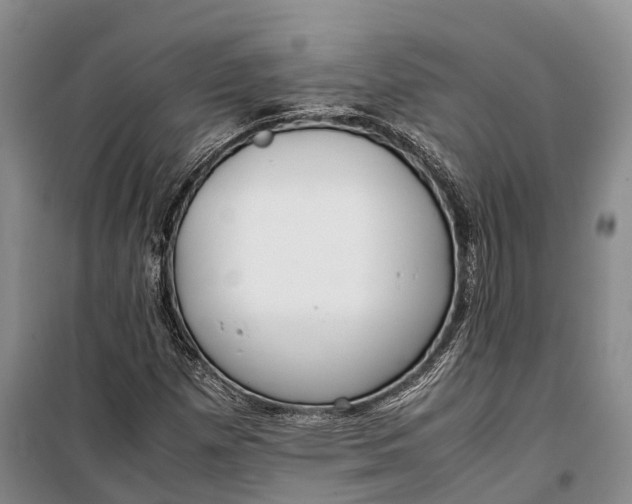 X0000100221257200806131306