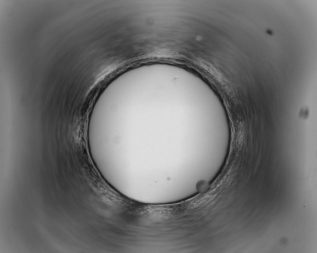 X0000100221258200806131306