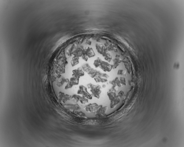 X0000100221259200806131306