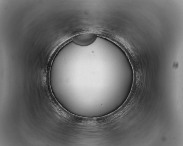 X0000100221260200806131306